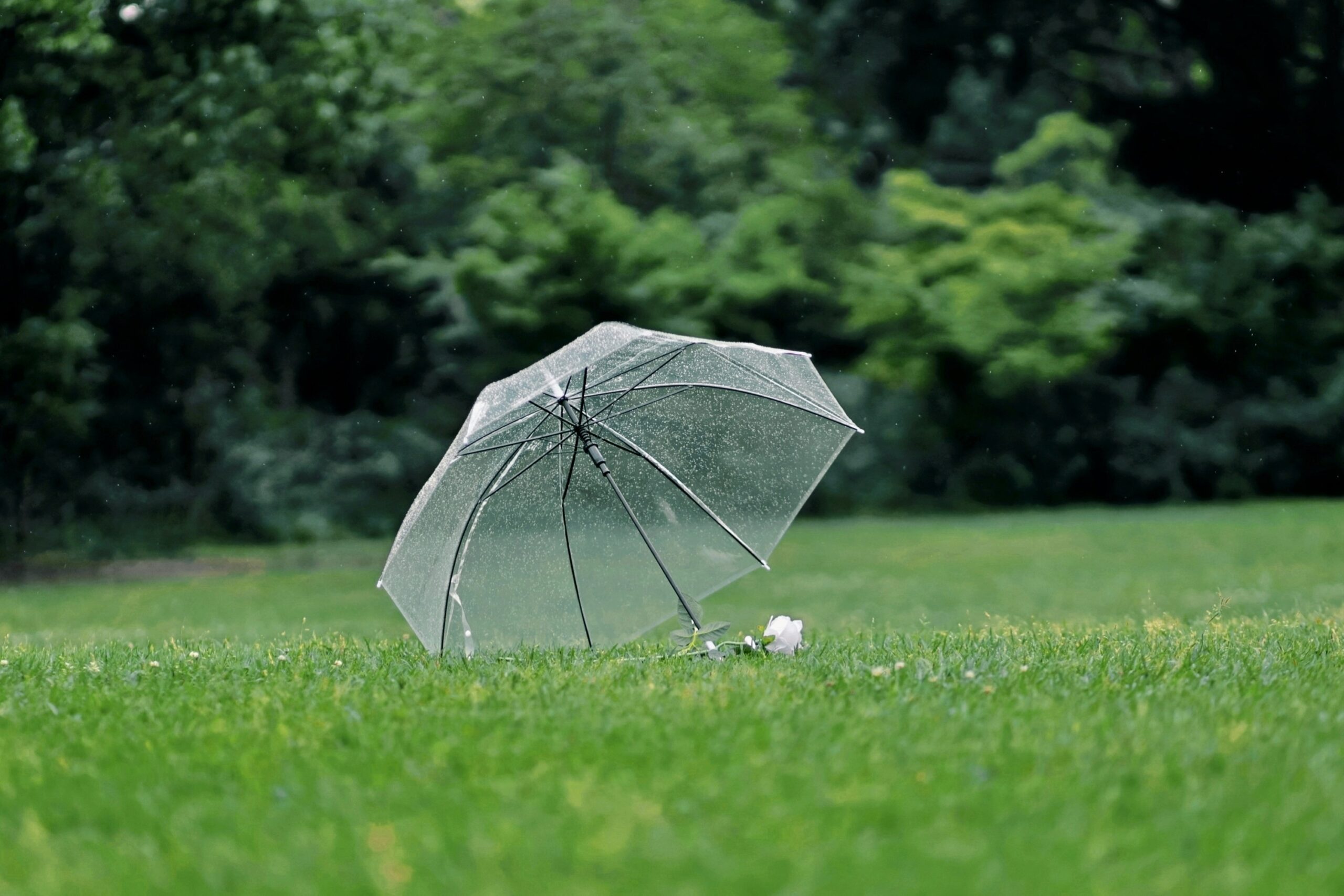 Infographic showing annual hail damage statistics and average repair costs