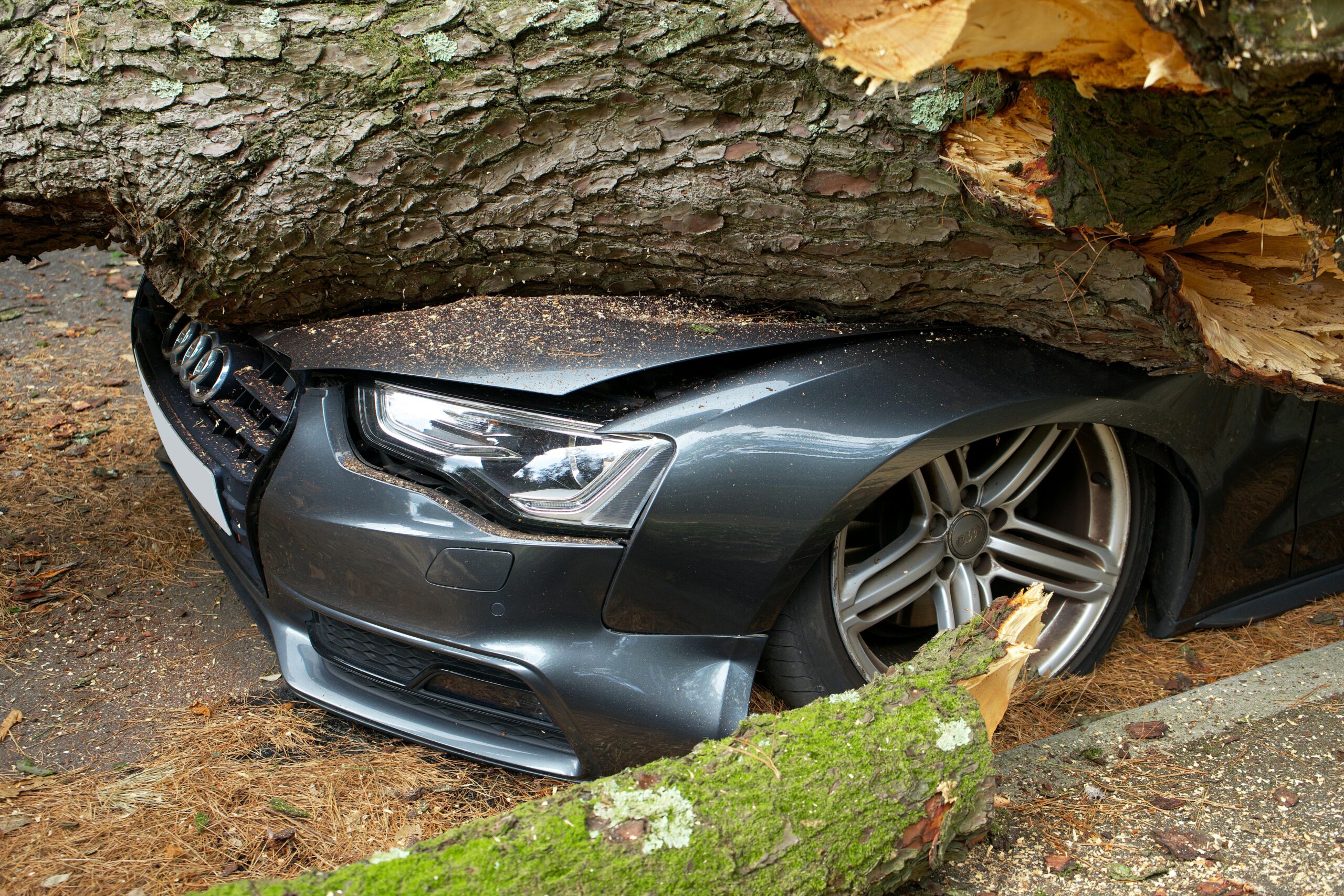 Infographic showing the impact of hail storms on vehicles and typical repair costs