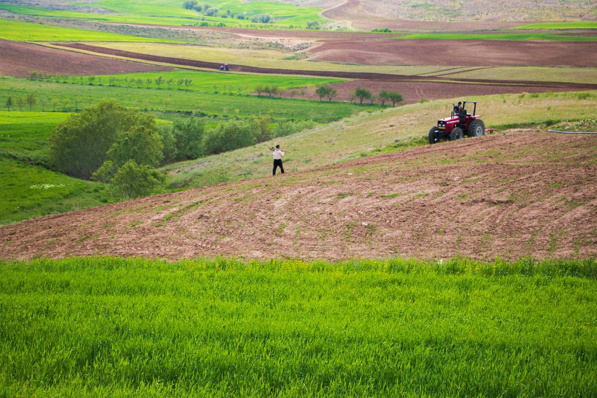 Crop Hail Safety Plan: Protect Your Fields and Finances in 2024