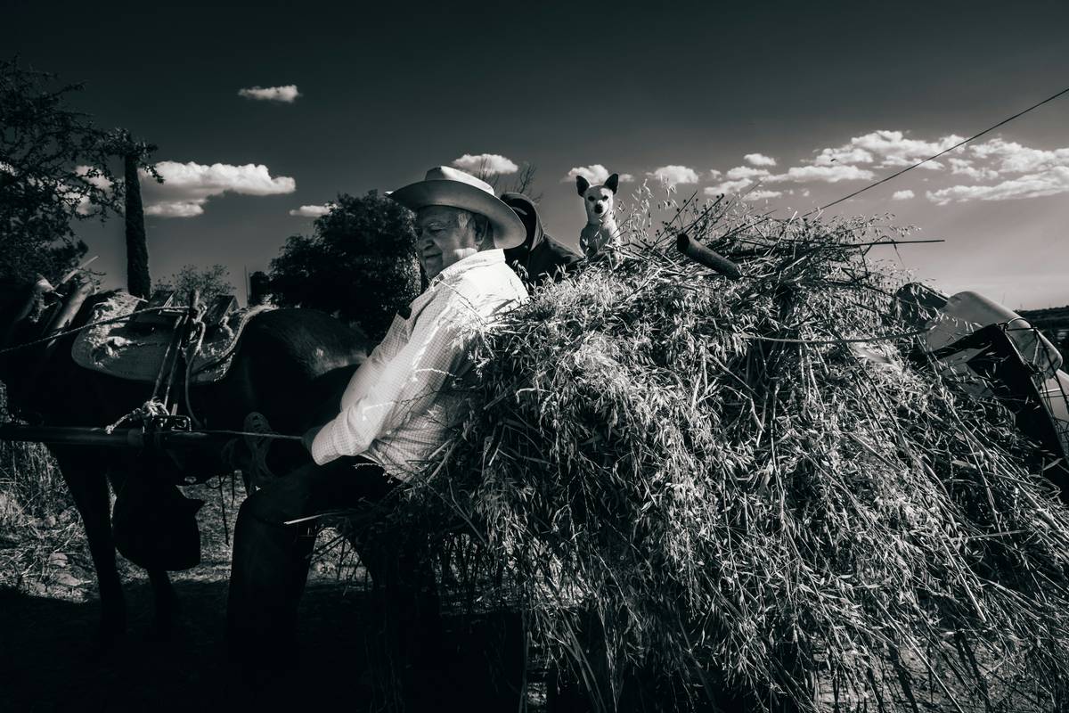 Farmer discussing paperwork with an insurance agent under a barn.