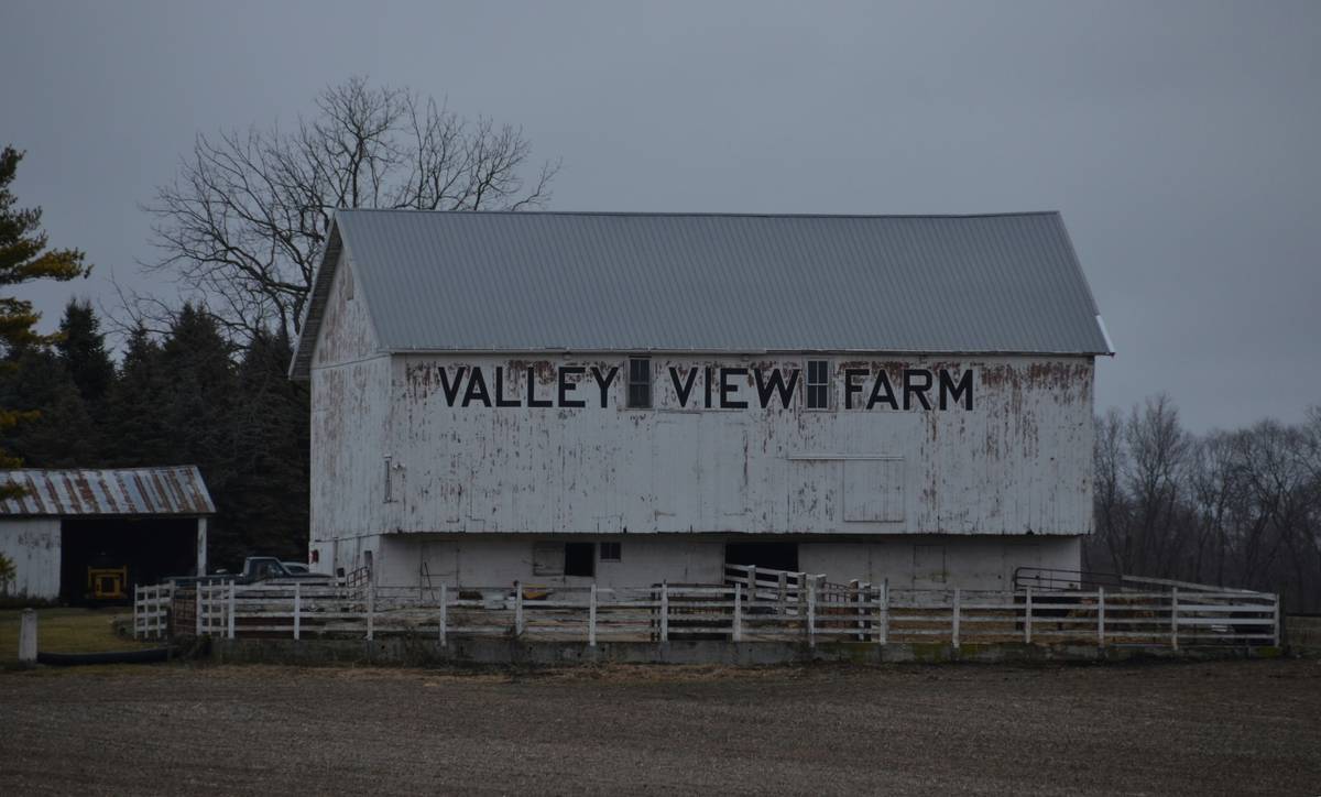 Farmer reviewing insurance payout check