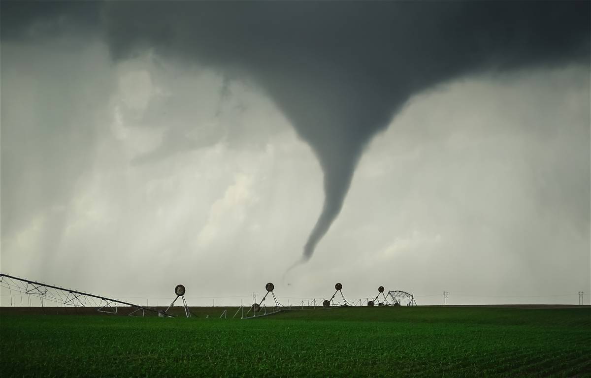 Farmer signing crop hail insurance contract with agent.