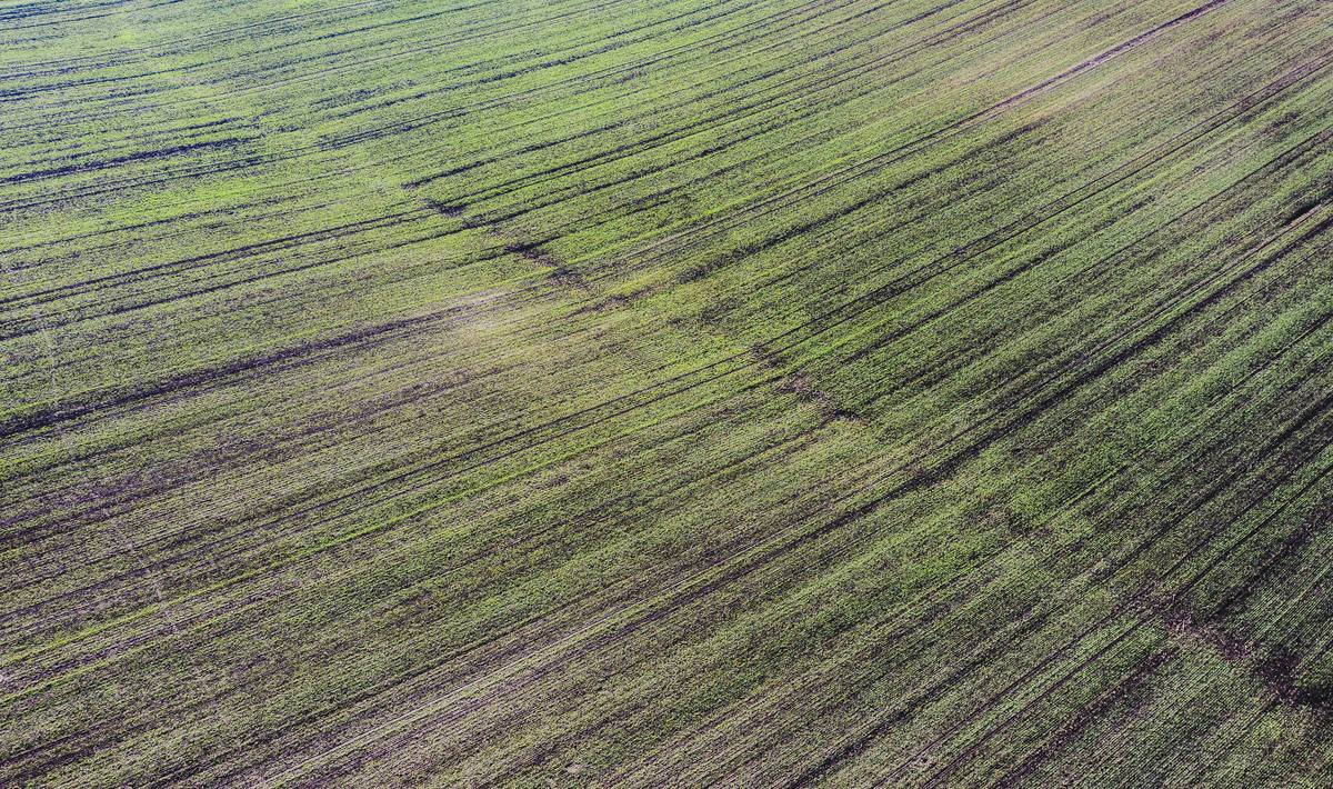 Flowchart illustrating steps to enroll in a hail crop protection plan.