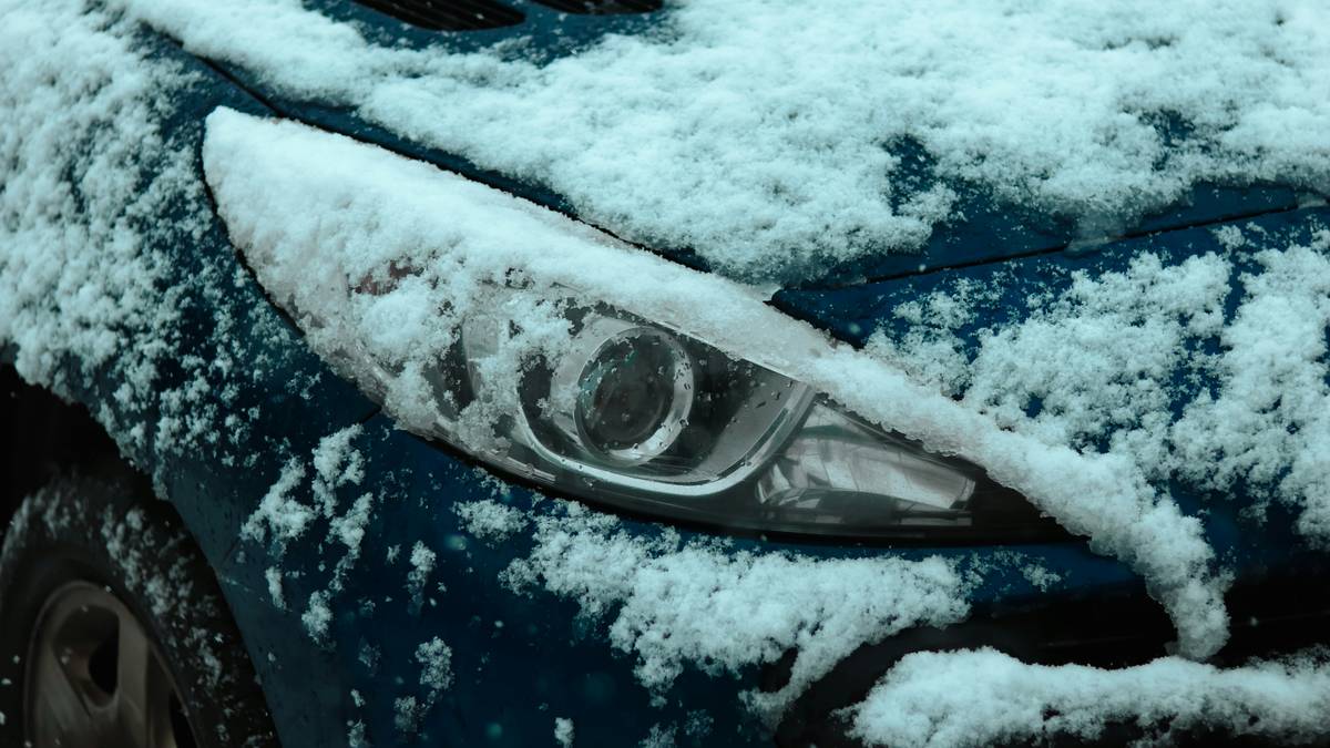 Infographic comparing features of different hail insurance providers