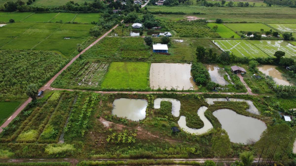 Interview with a farmer who successfully used hail insurance