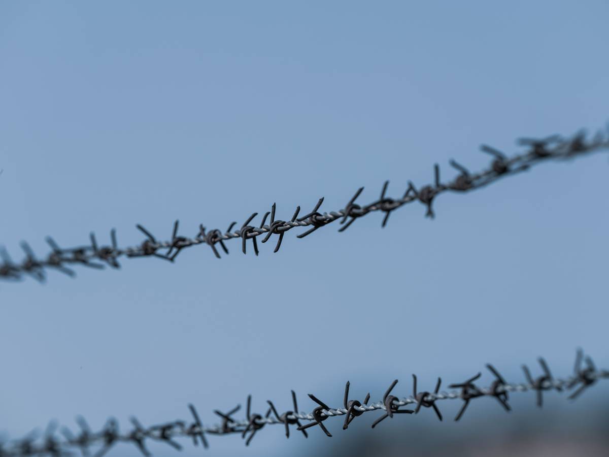 Table comparing free vs paid hail insurance features.