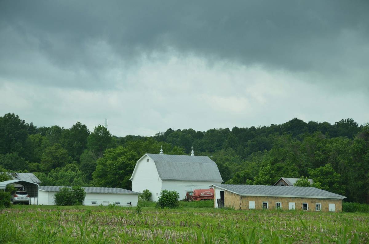The Hail Crop Protection Plan: Your Ultimate Shield Against Unpredictable Weather