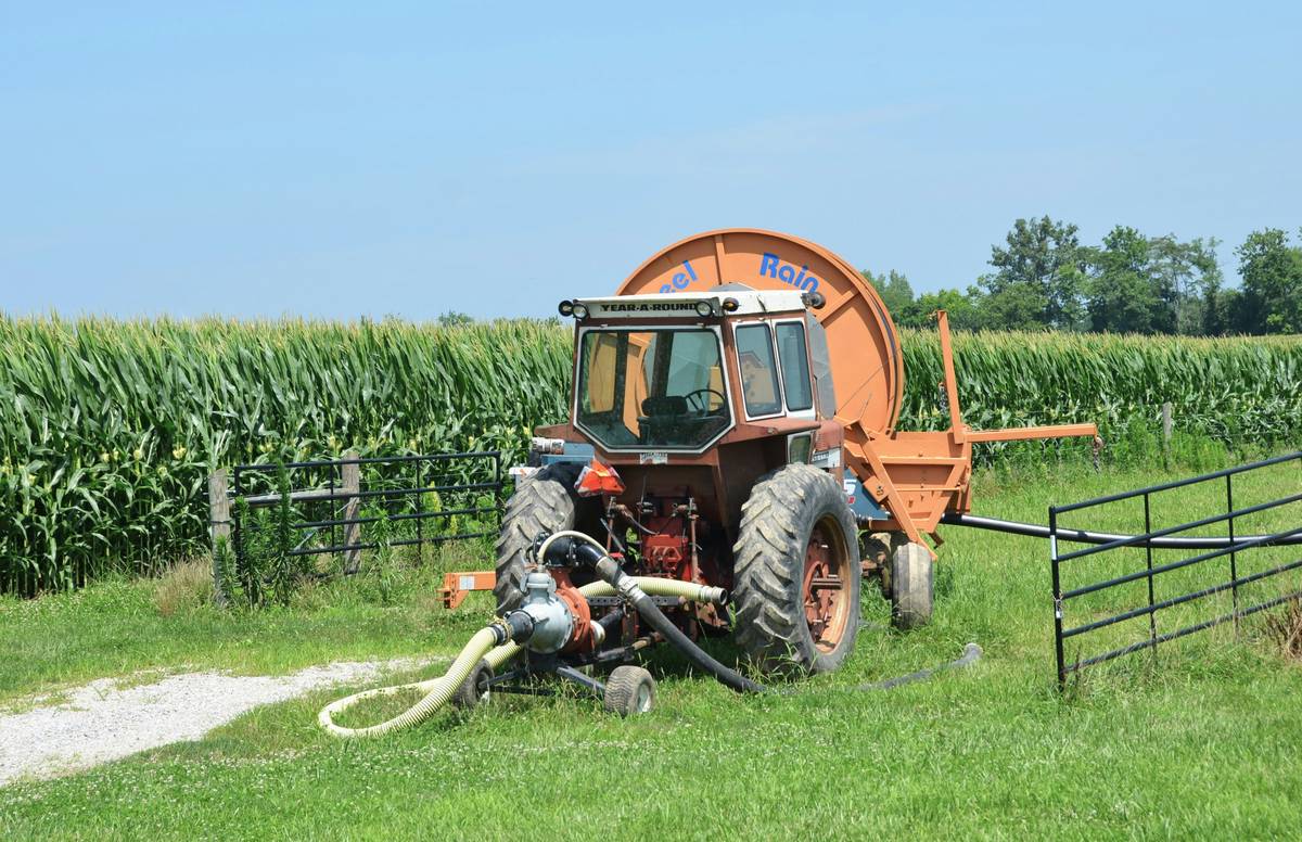 The Ultimate Guide to Hail Crop Defense: Protect Your Farm and Finances