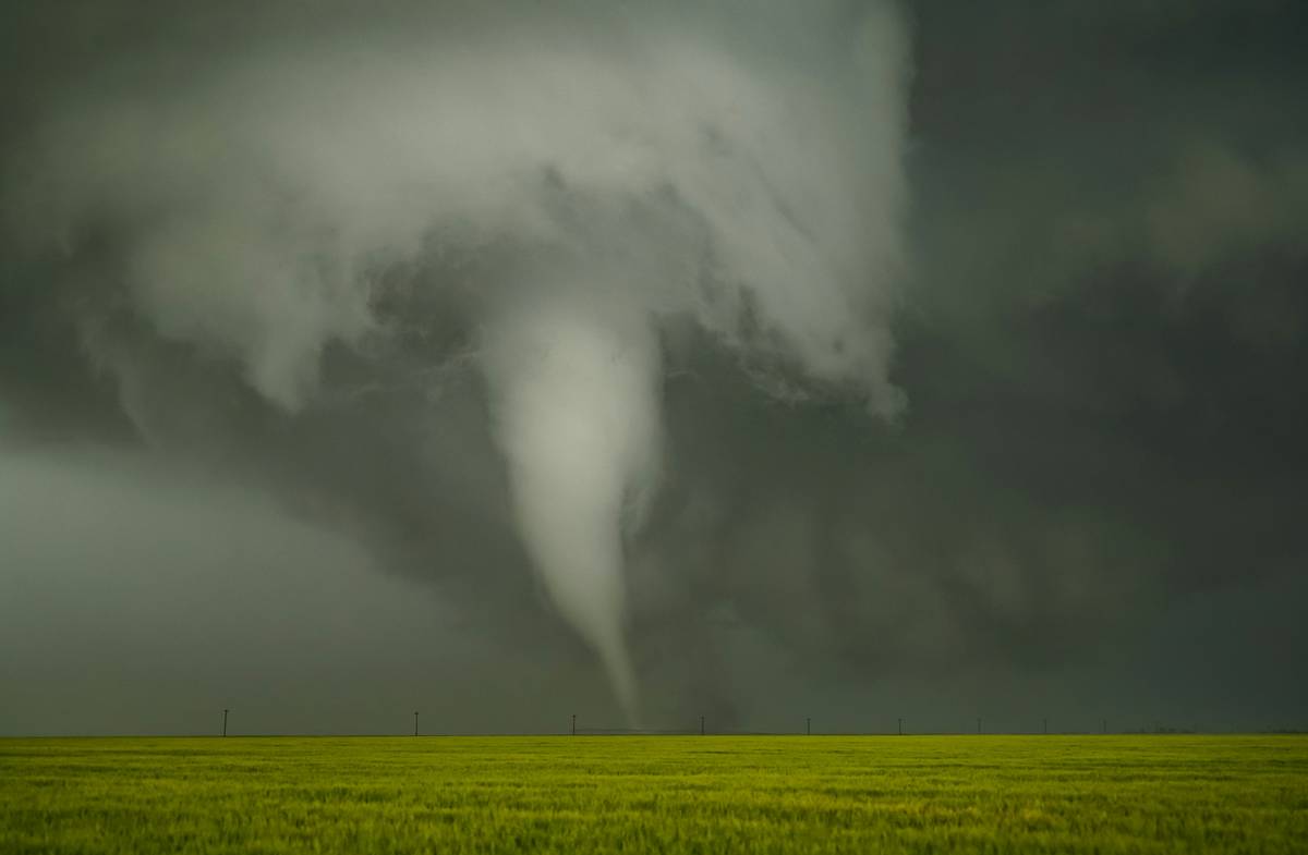 What Is a Crop Hail Policy and Why Farmers Can’t Afford to Ignore It