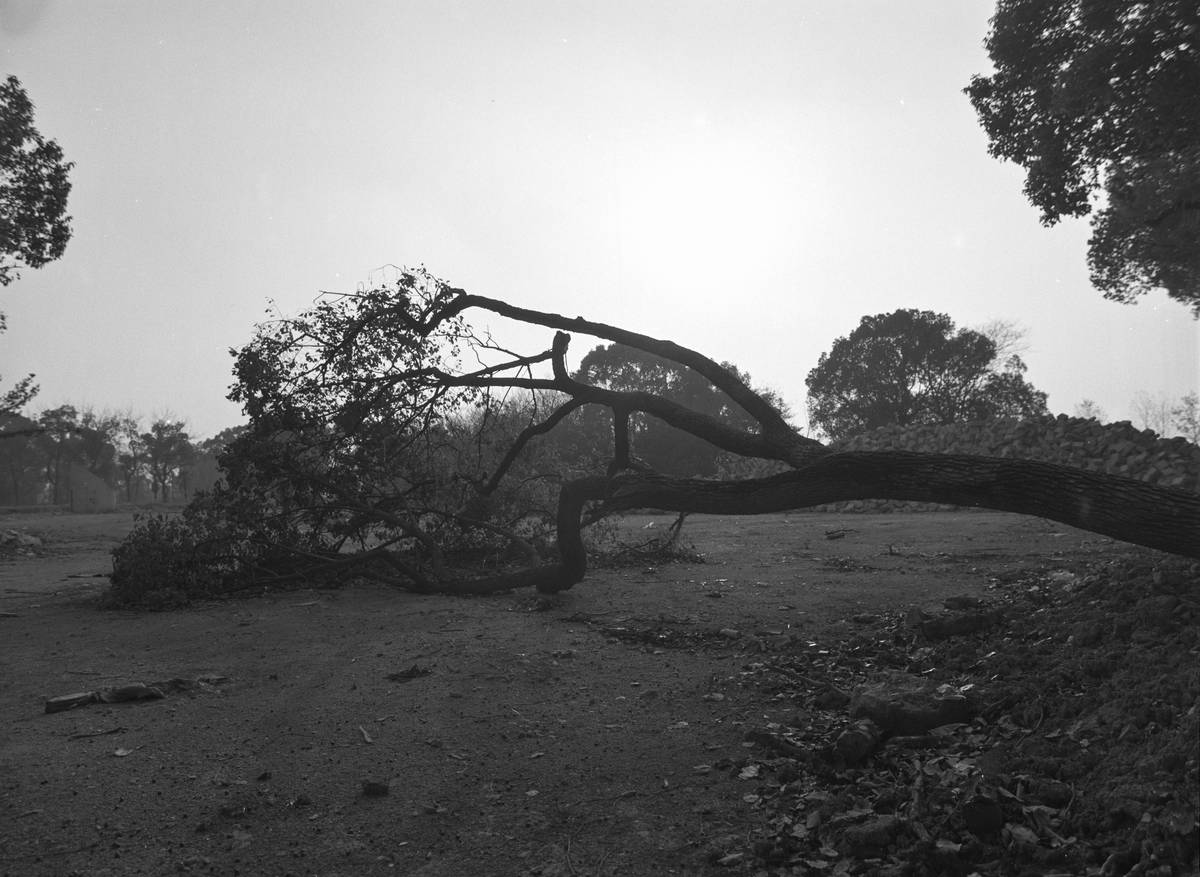Car damaged by hailstones with dents visible on the hood