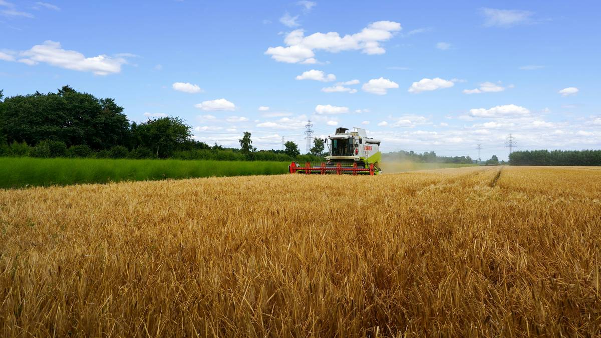 Chart showing annual costs of hailstorm damage in agriculture